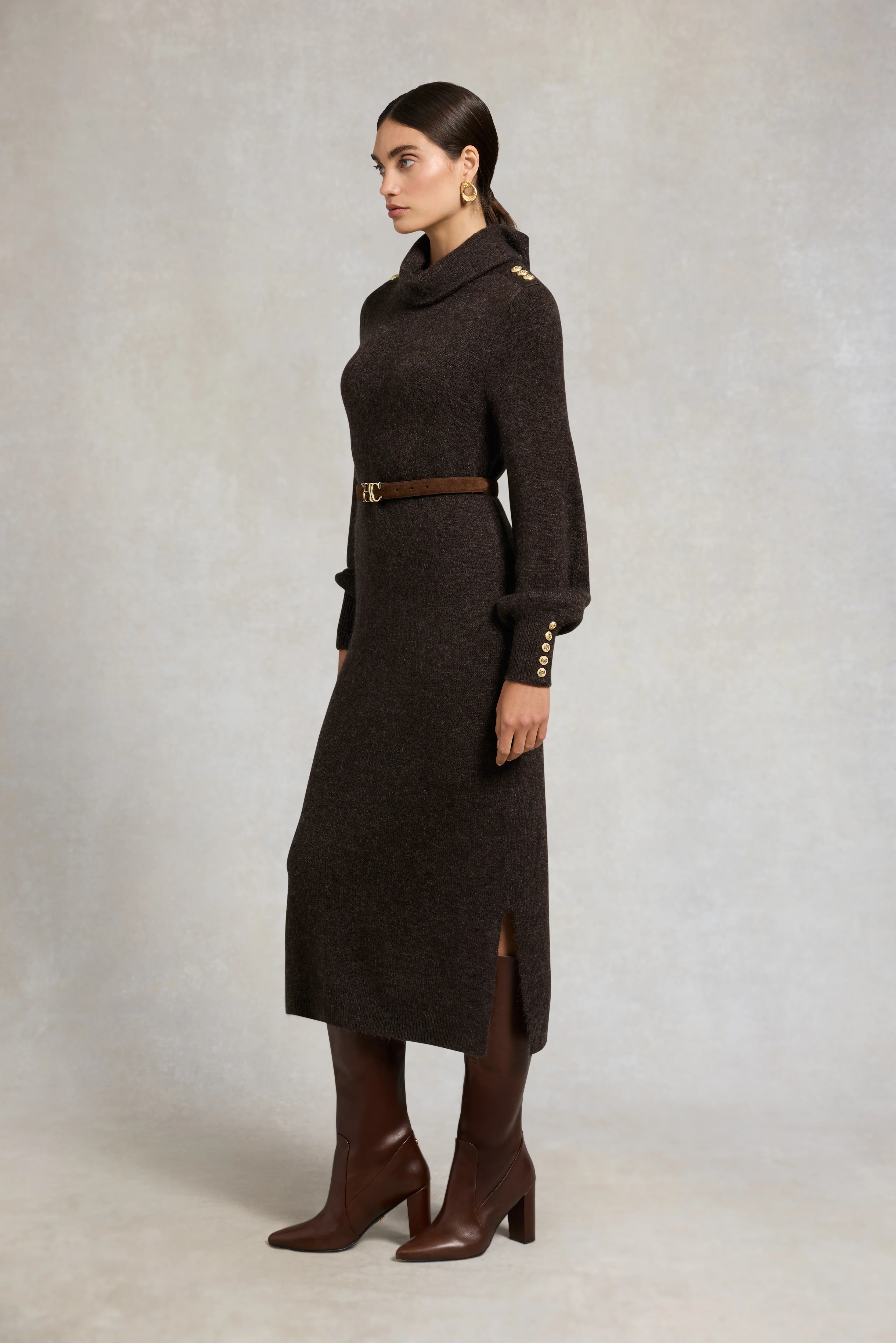 Berkeley Roll Neck Dress (Chocolate) - Image 9
