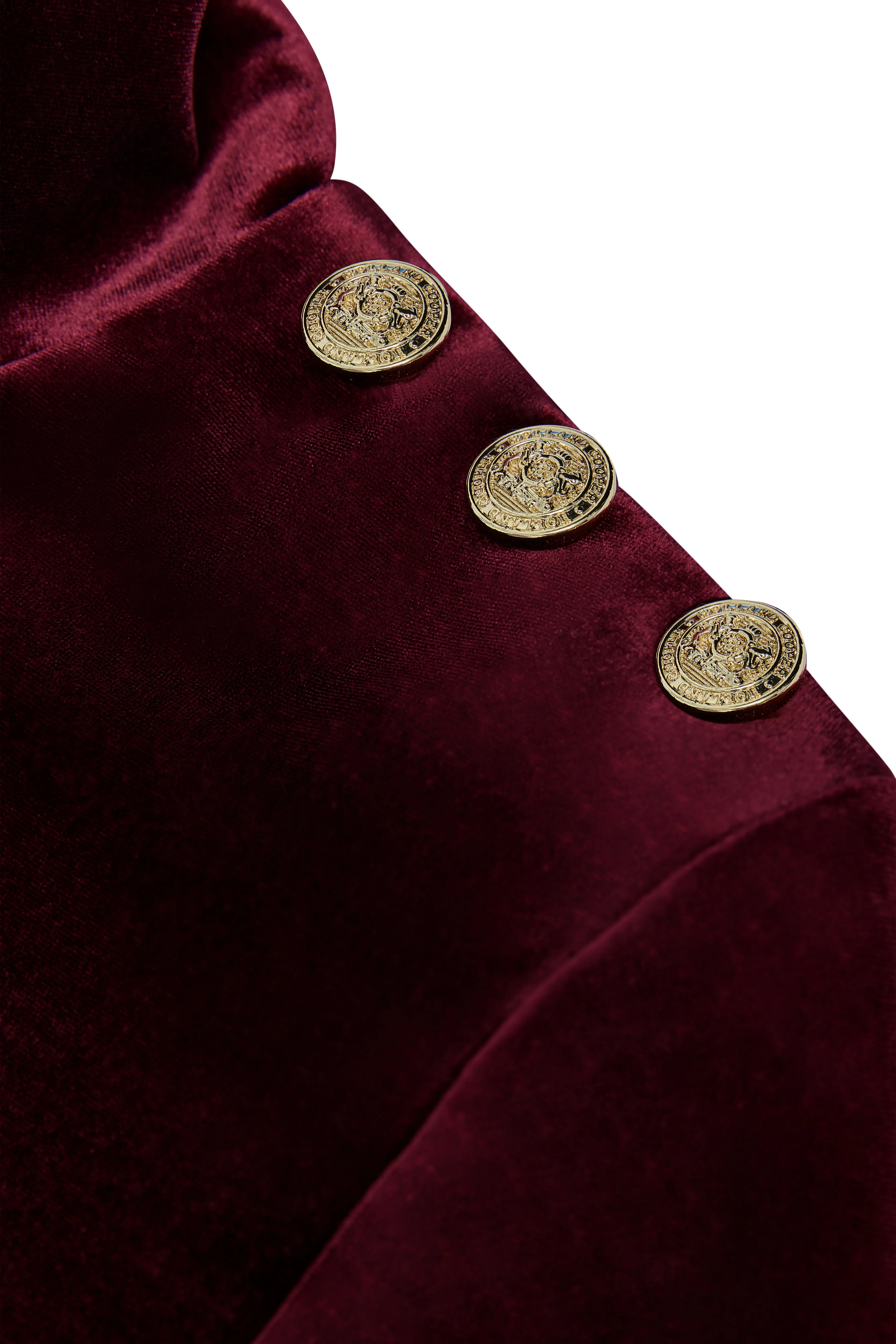 Cara Velvet Maxi Dress (Burgundy) - Image 8