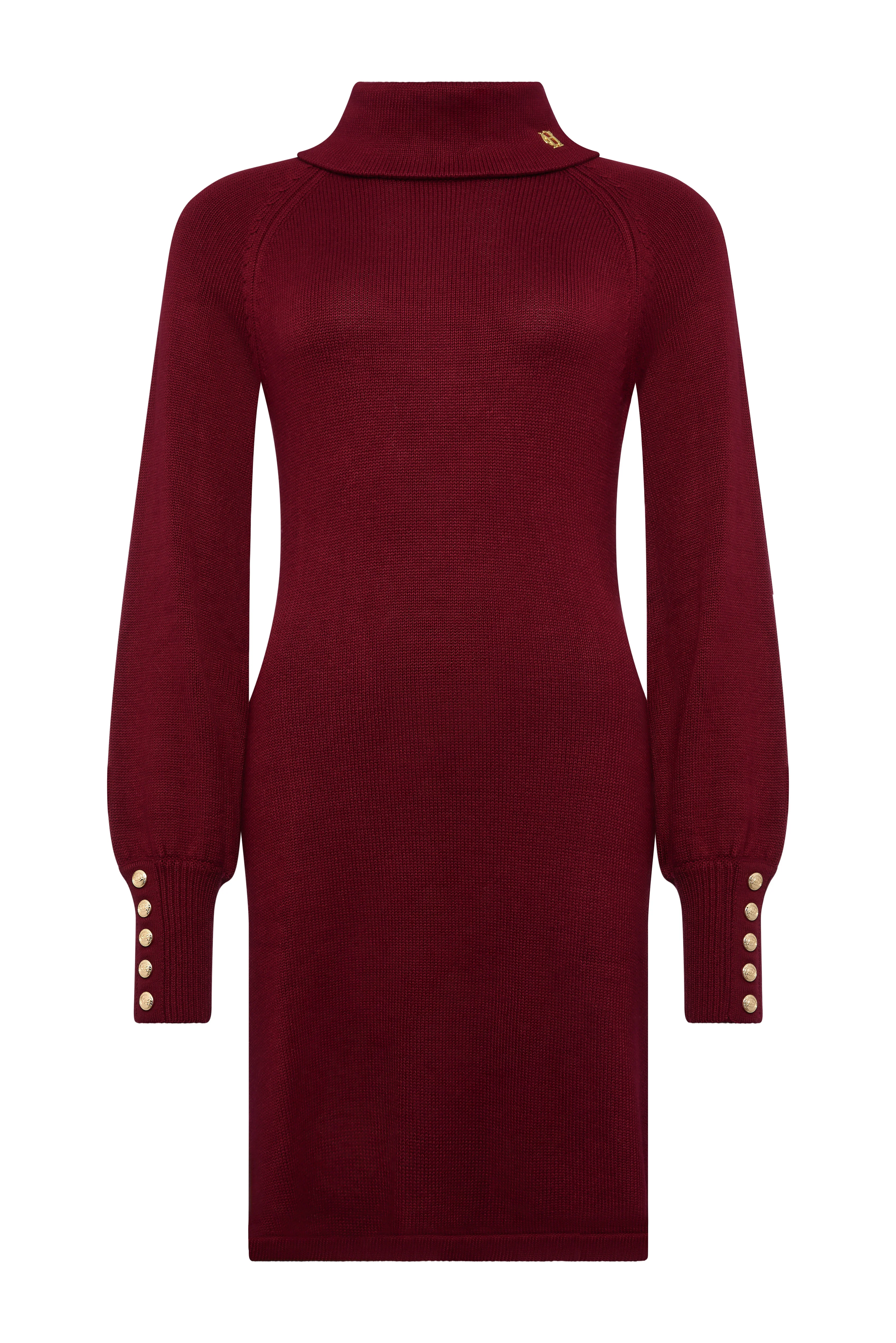 Chamonix Fit & Flare Dress (Wine) - Image 5