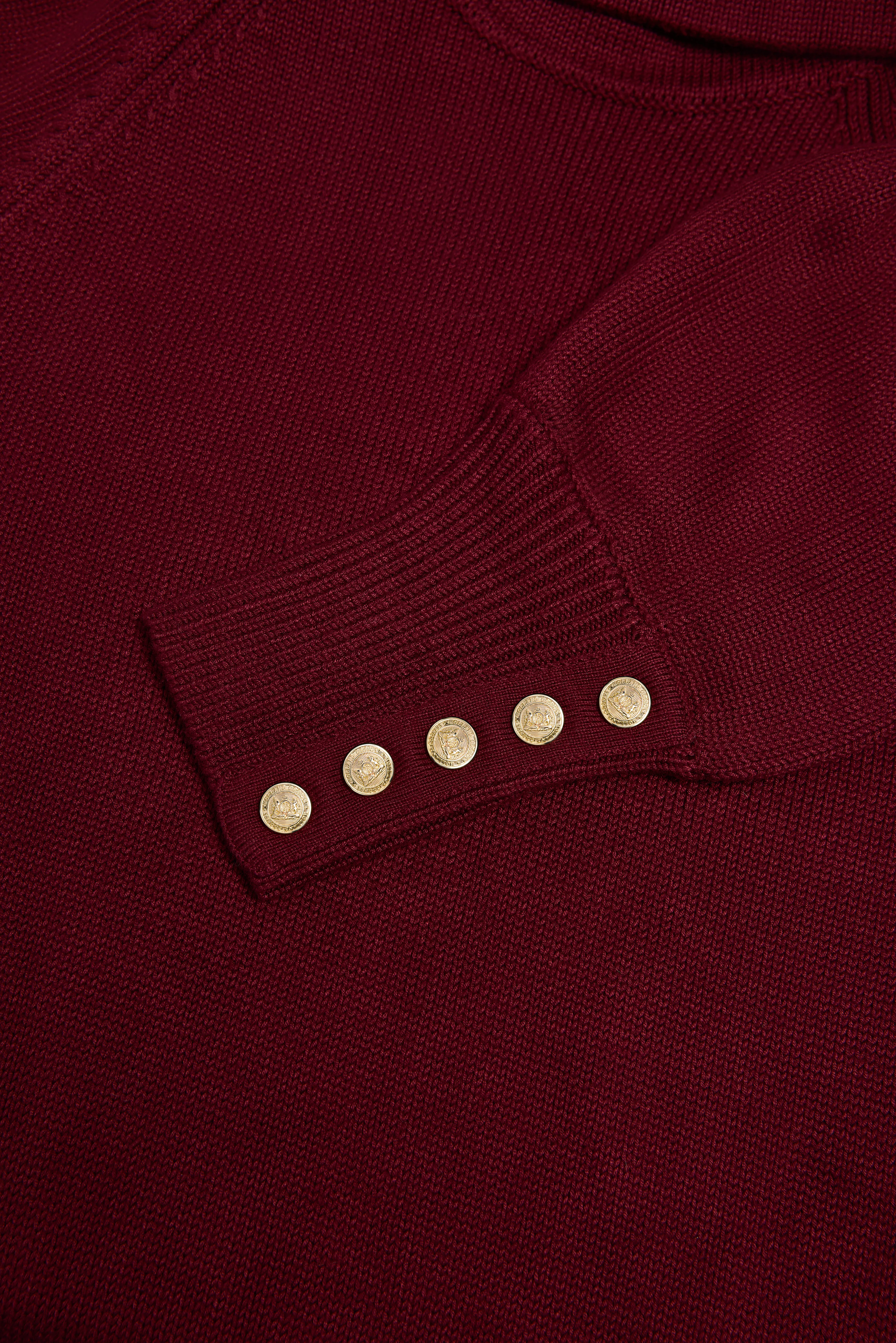Chamonix Fit & Flare Dress (Wine) - Image 8