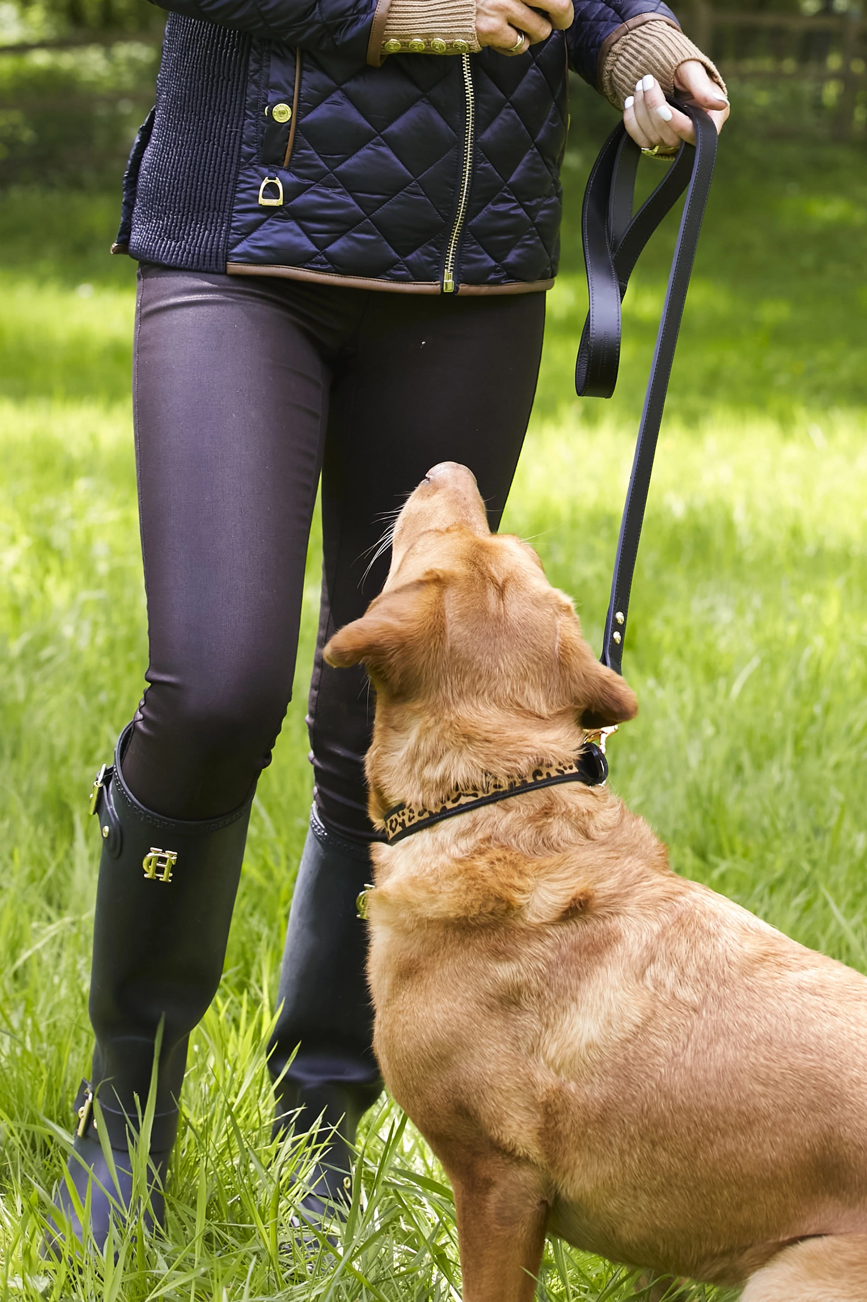 Classic Dog Lead (Black) - Image 2