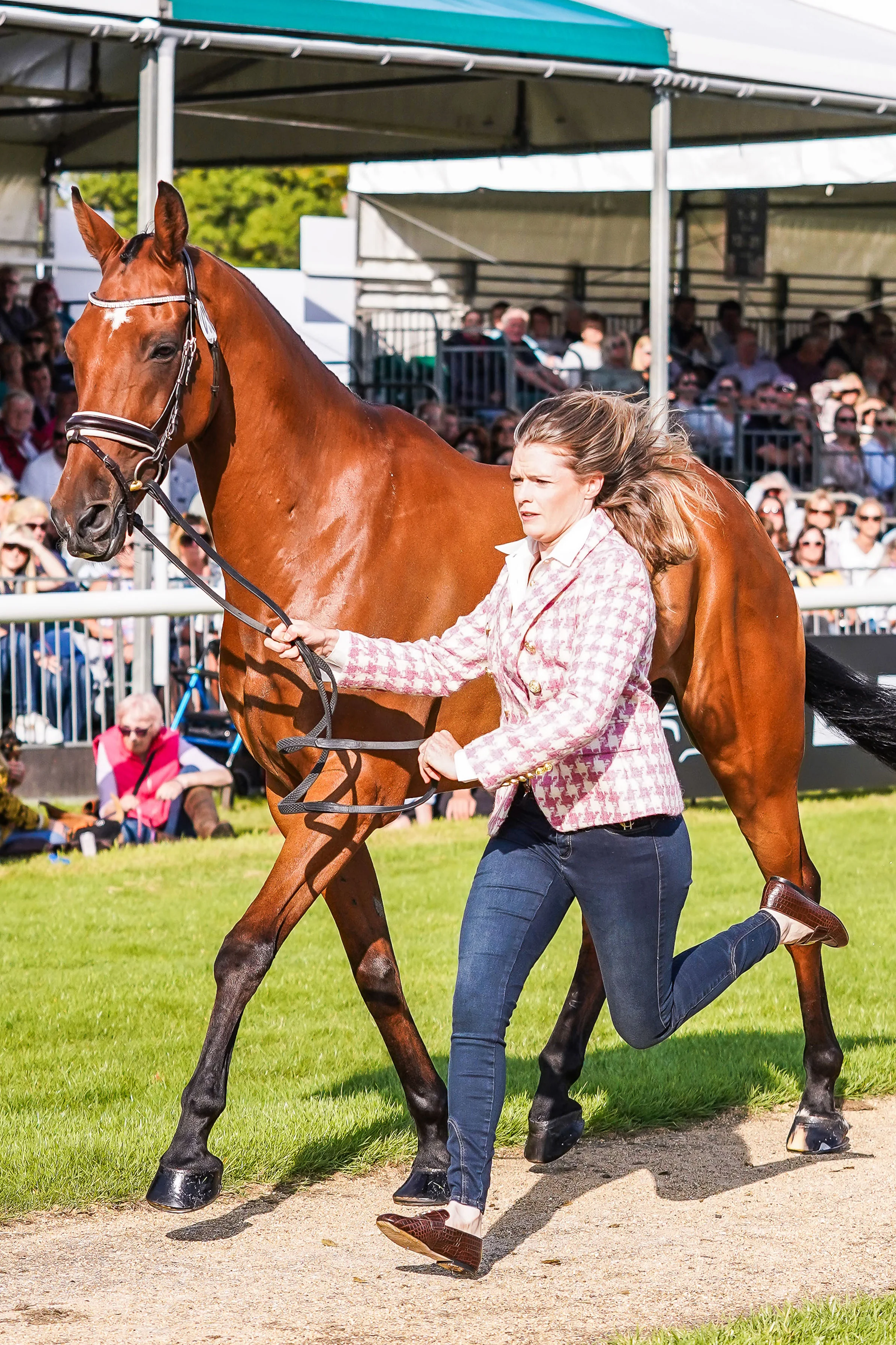 Julia Norman's Trot Up Look One - Image 8