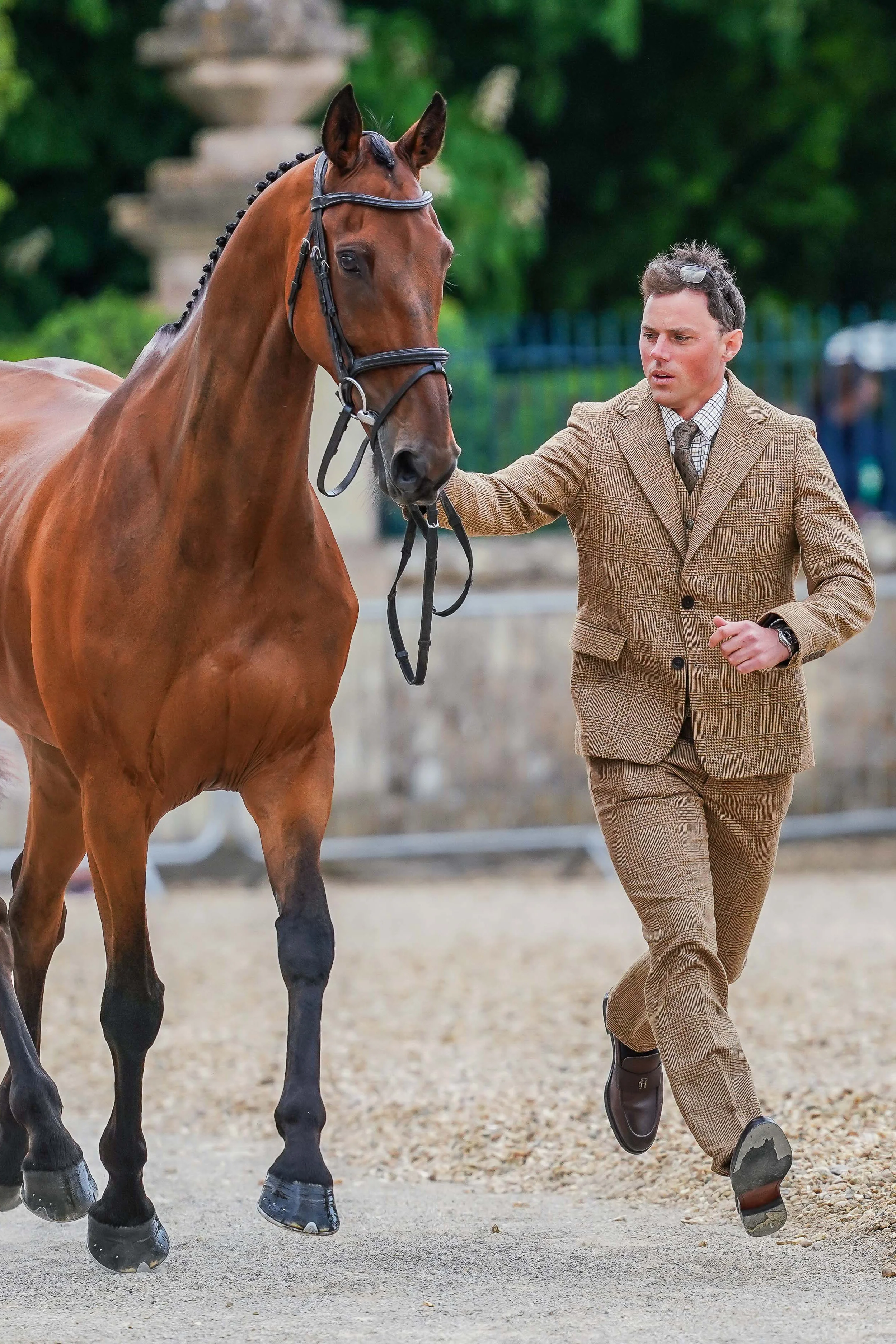 Sam Watson's Badminton Trot Up 1 Tawny Look