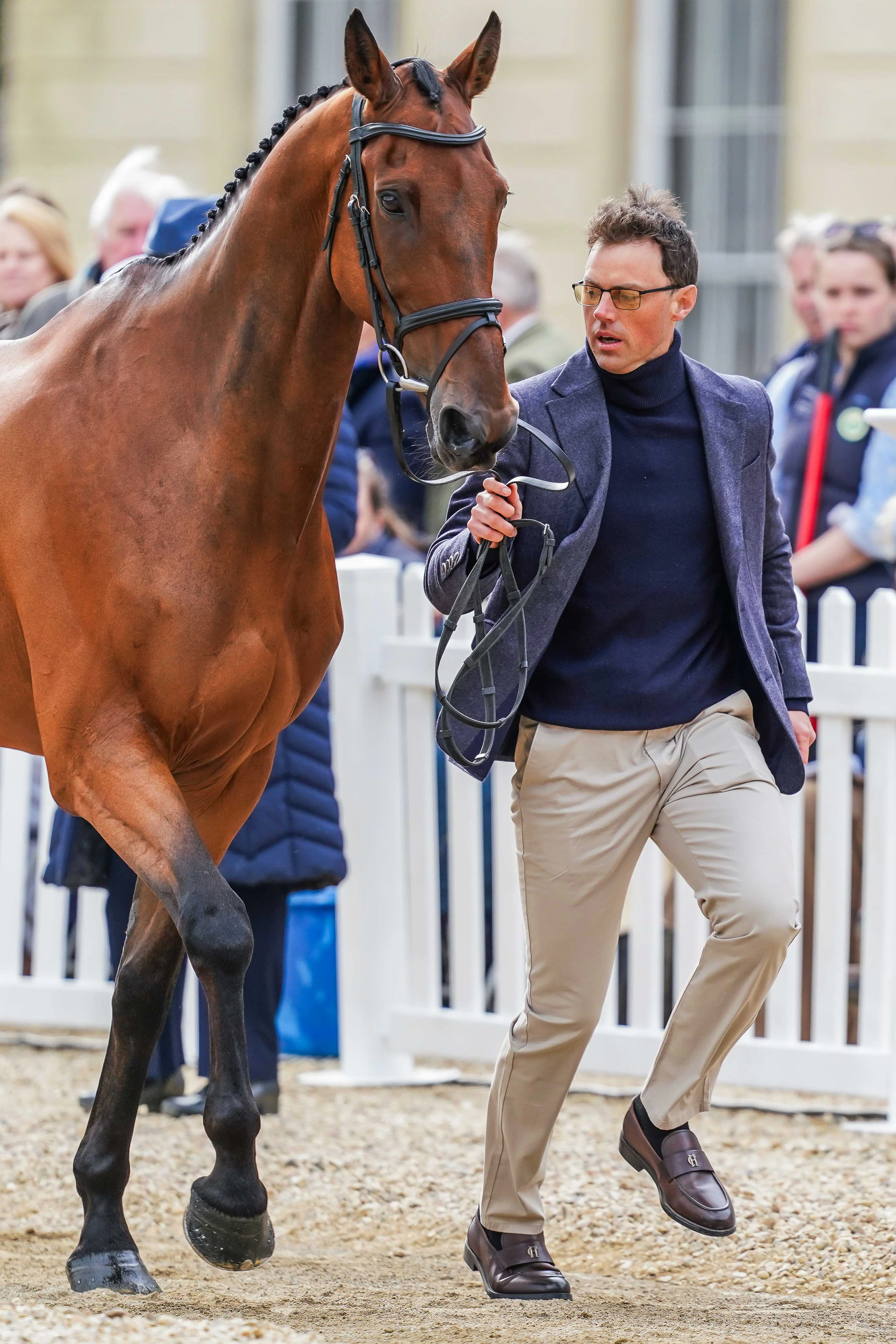 Sam Watson's Badminton Trot Up 2 Navy Duke Look