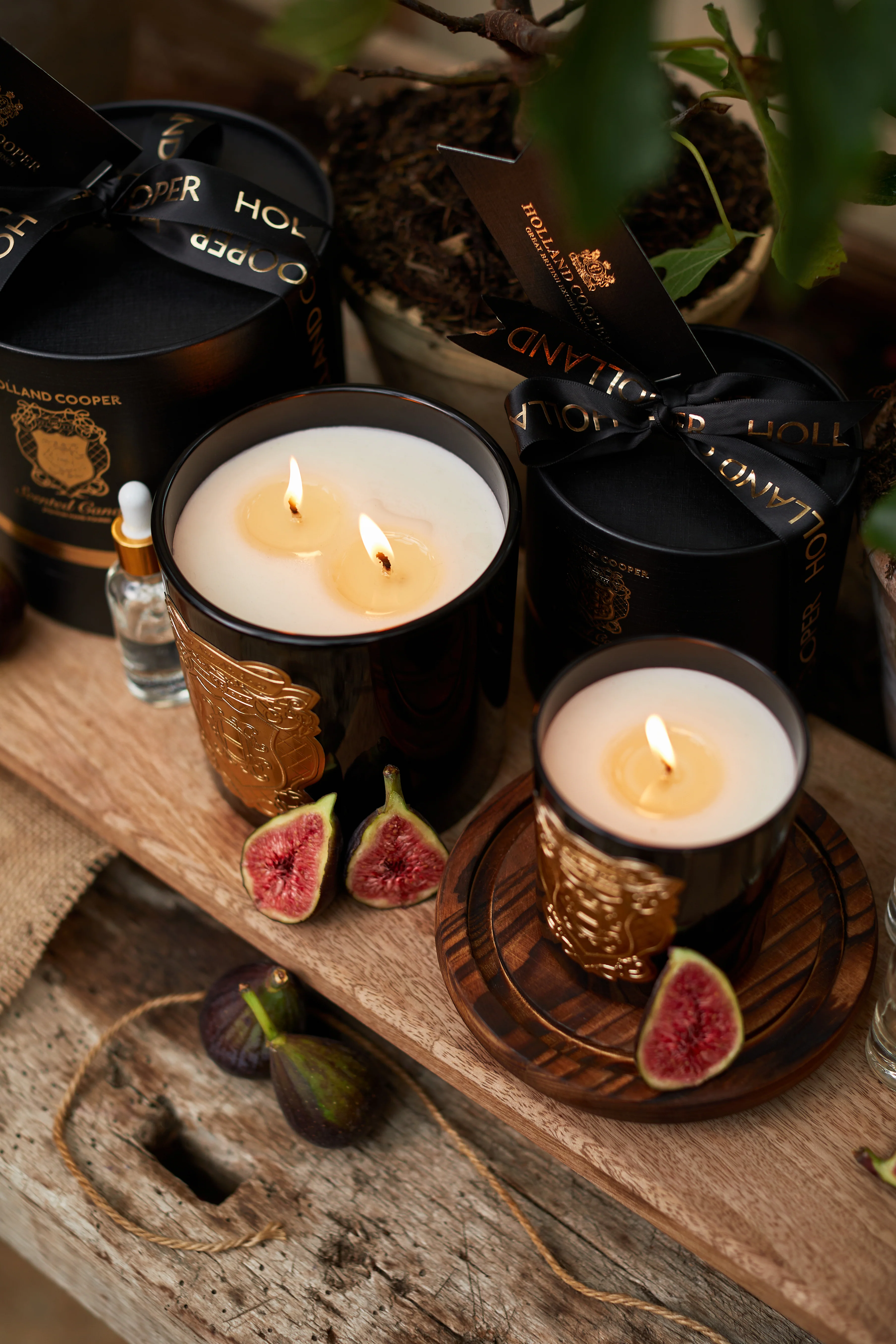 Single Wick Candle (Figue Noir) - Image 3