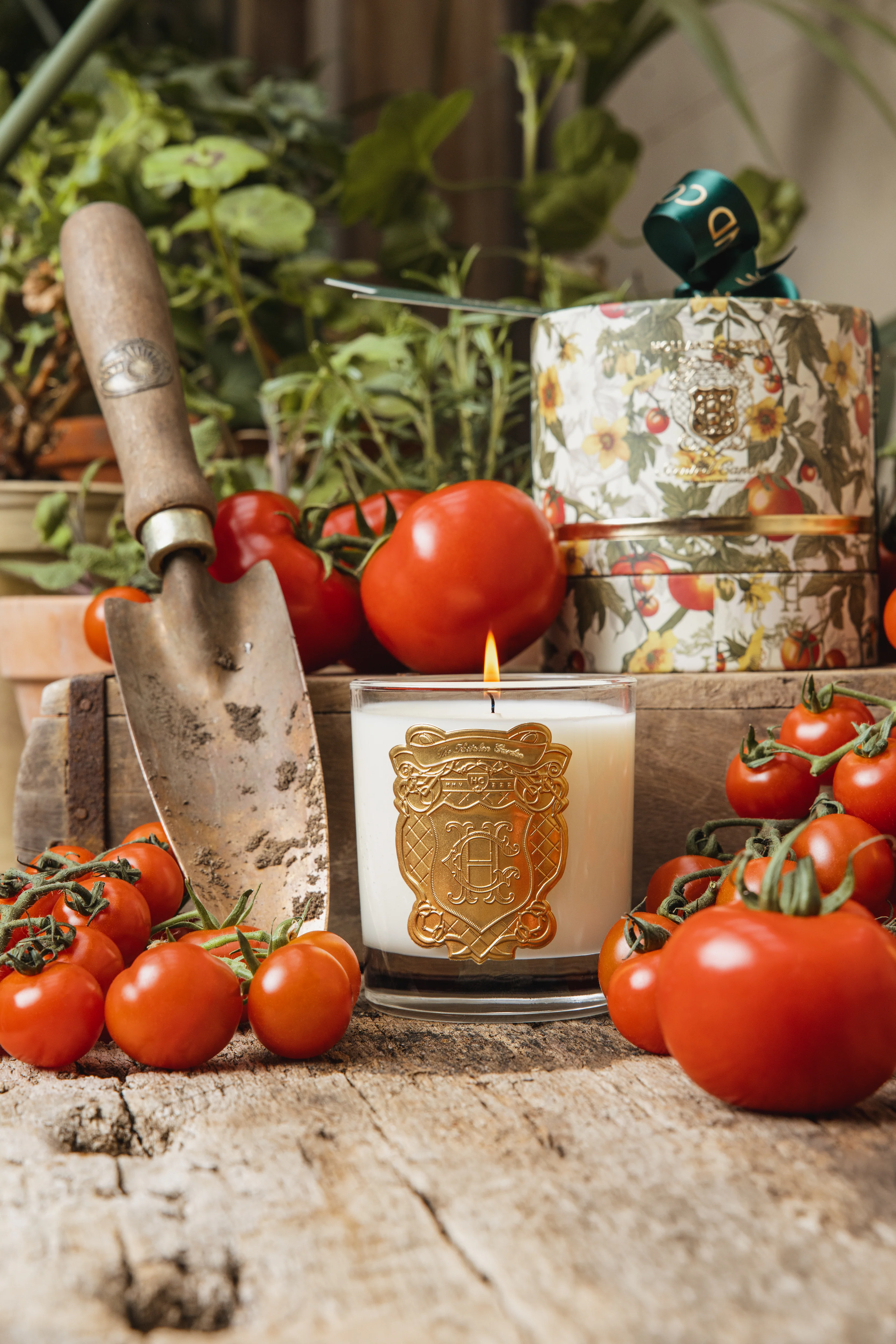 Single Wick Candle (The Kitchen Garden) - Image 3