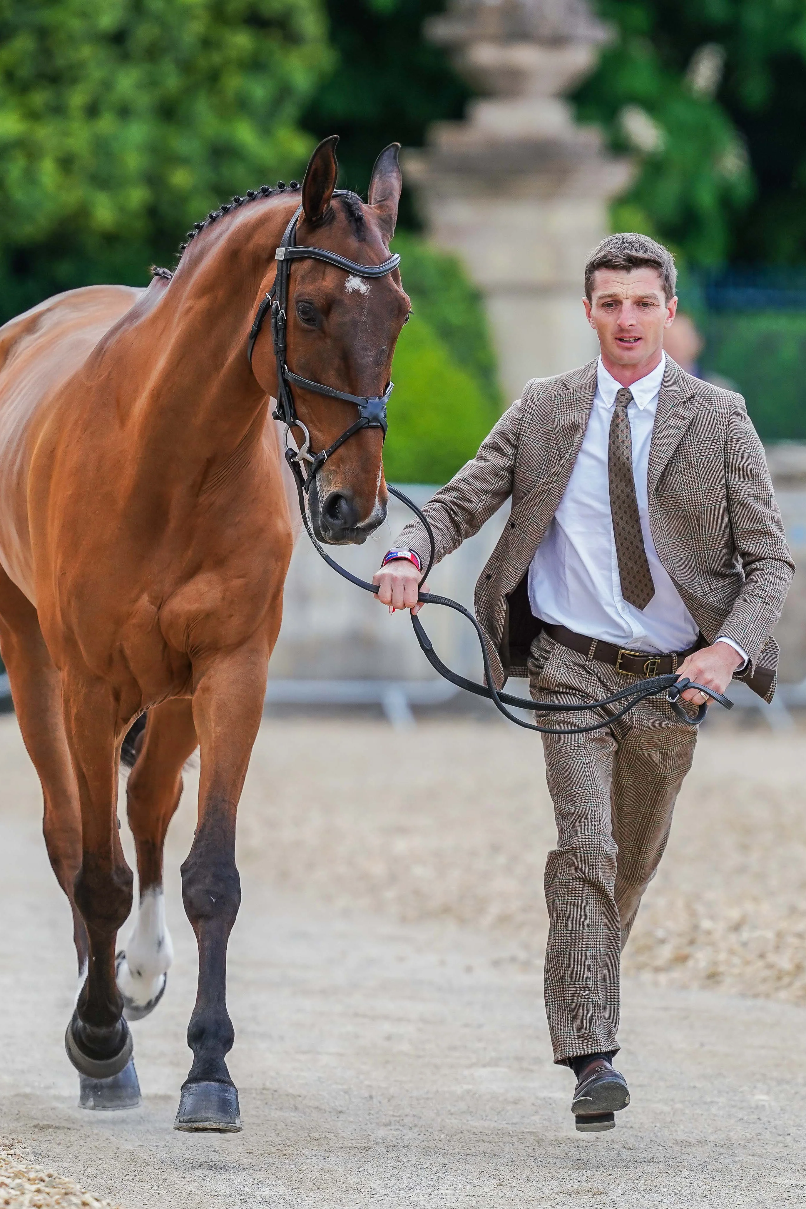 Tom Jackson's Badminton Trot Up 1 Clarence Check Forest Look