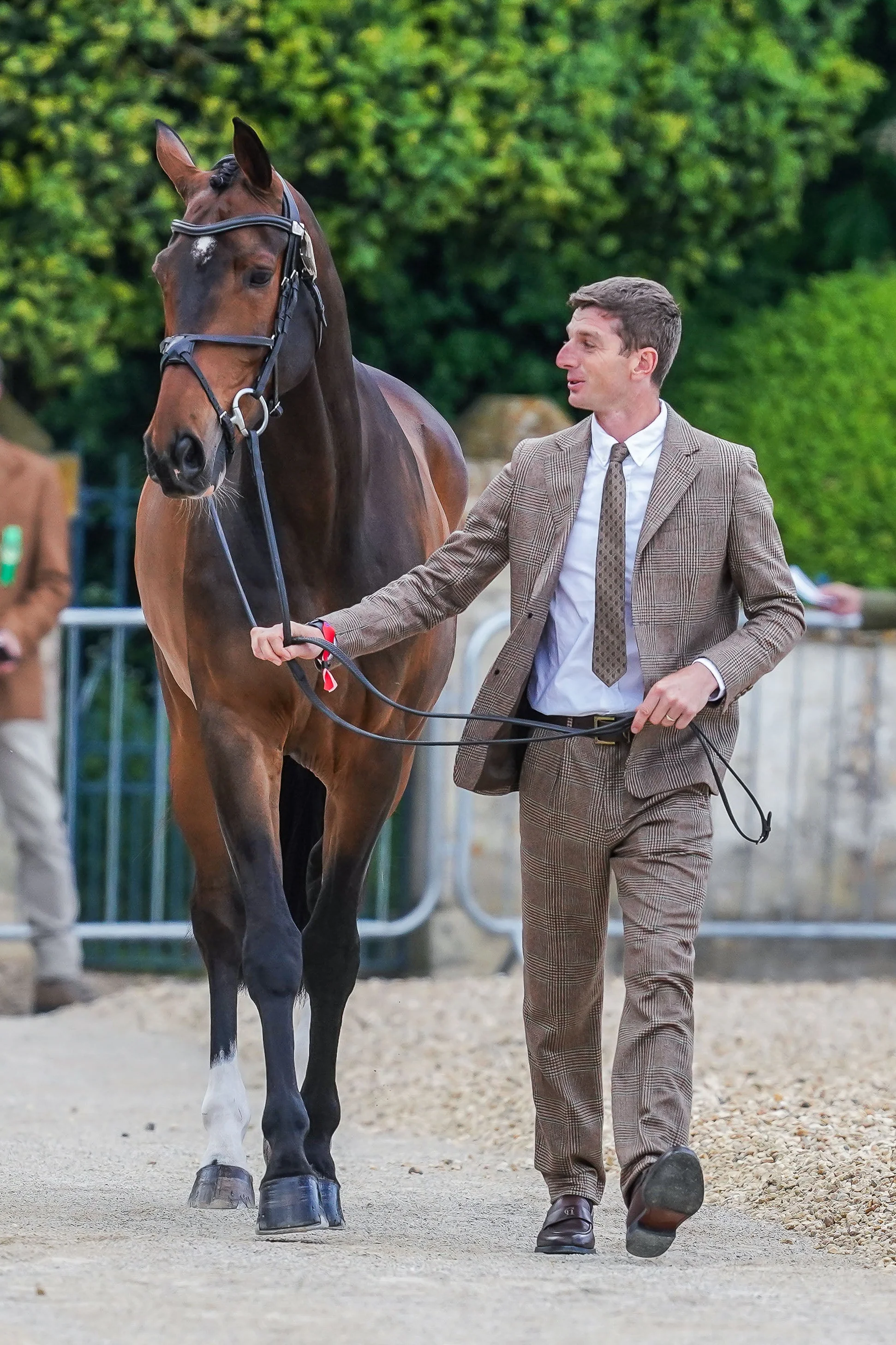 Tom Jackson's Badminton Trot Up 1 Clarence Check Forest Look - Image 2